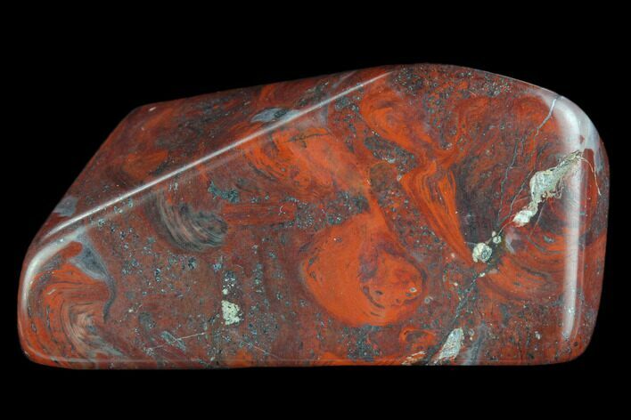 Polished Stromatolite (Collenia) - Minnesota #126075